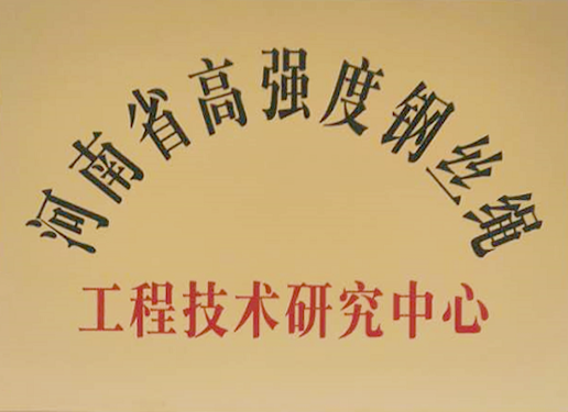 鋼絲繩工程技術研究中心